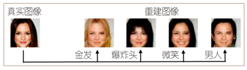 黄鹤 图5